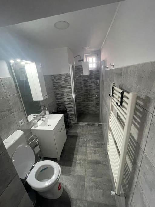 Lady M Apartment Sighişoara Esterno foto